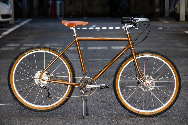 Surly シティサイクル ブラウン 50392305291_1d18f61c87_c.jpg