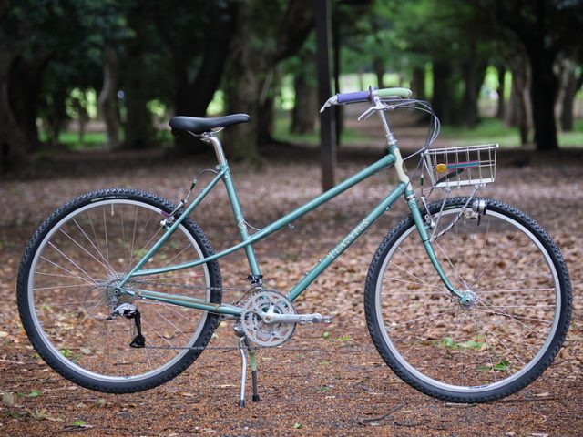 RIVENDELL BICYCLE WORKS - BLUE LUG