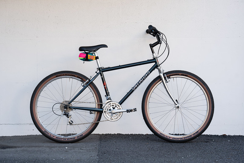 SPECIALIZED* s-works steel mtb / BUILT BY BLUE LUG