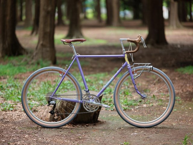 surly サーリbluelug ブルーラグ crust bikes STRAGGLER stock complete bike - BLUE LUG BLOG | 自転車店