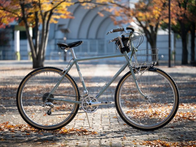 RIVENDELL BICYCLE WORKS - BLUE LUG