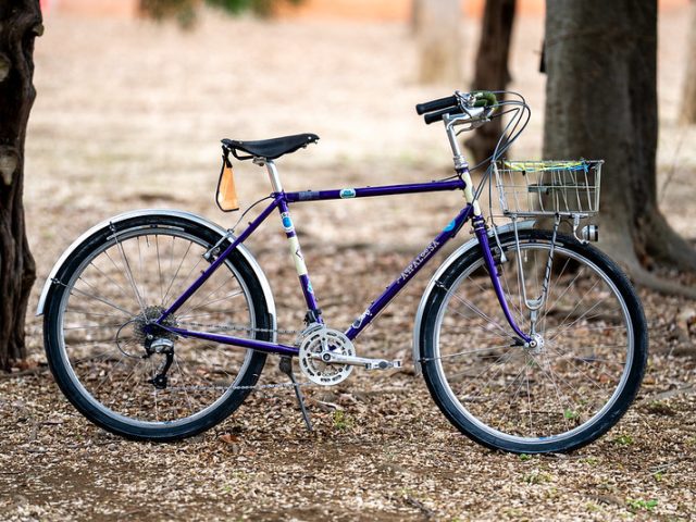 RIVENDELL BICYCLE WORKS Joe Appaloosa - BLUE LUG