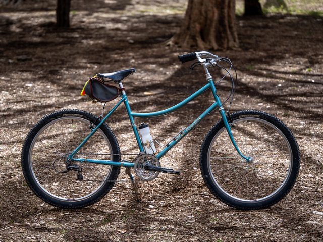 RIVENDELL BICYCLE WORKS Susie w. longbolts/Wolbis Slugstone - BLUE LUG