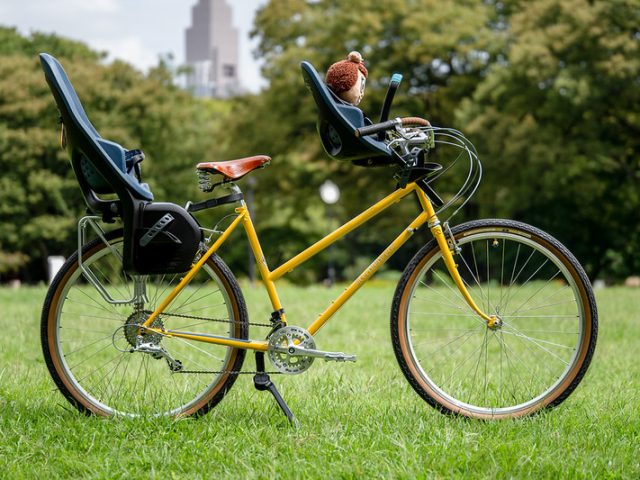 RIVENDELL BICYCLE WORKS - BLUE LUG