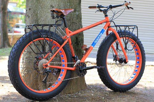 SURLY NICE RACK - BLUE LUG BLOG