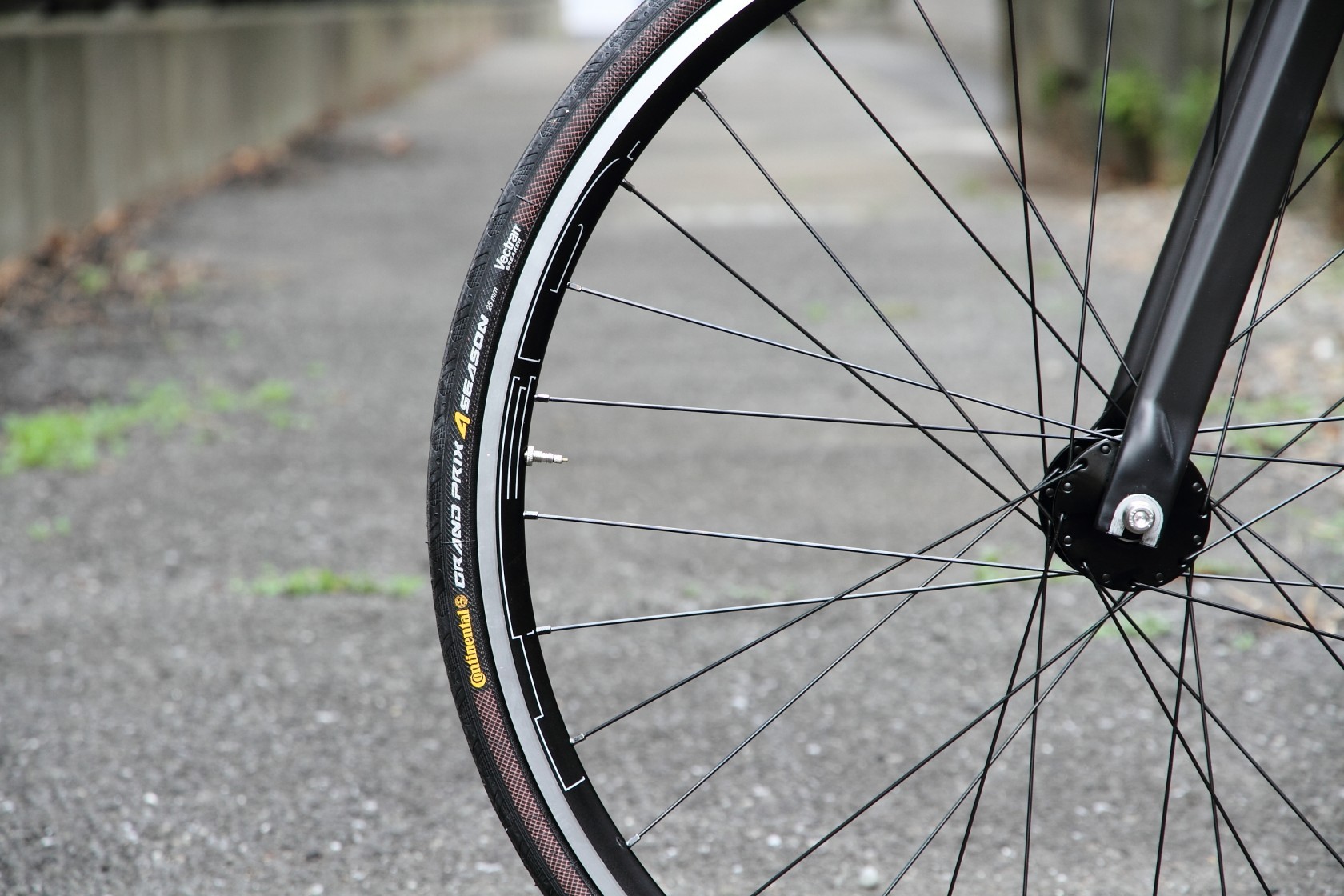 H E D. - BLUE LUG BLOG | 自転車店 ブルーラグ スタッフブログ