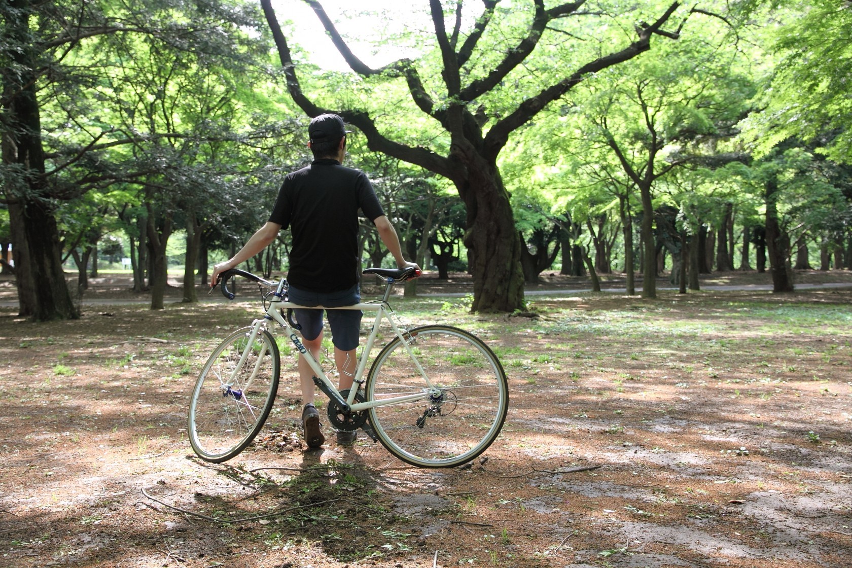 SWRVE - BLUE LUG BLOG | 自転車店 ブルーラグ スタッフブログ