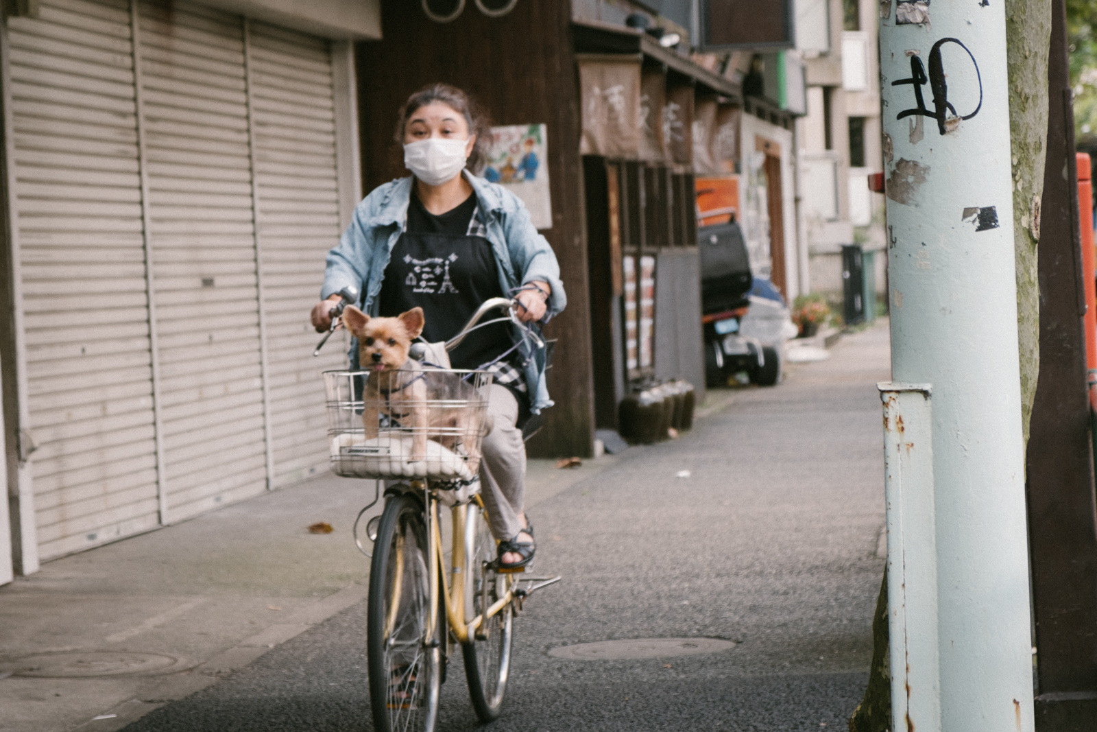 盗撮 自転車