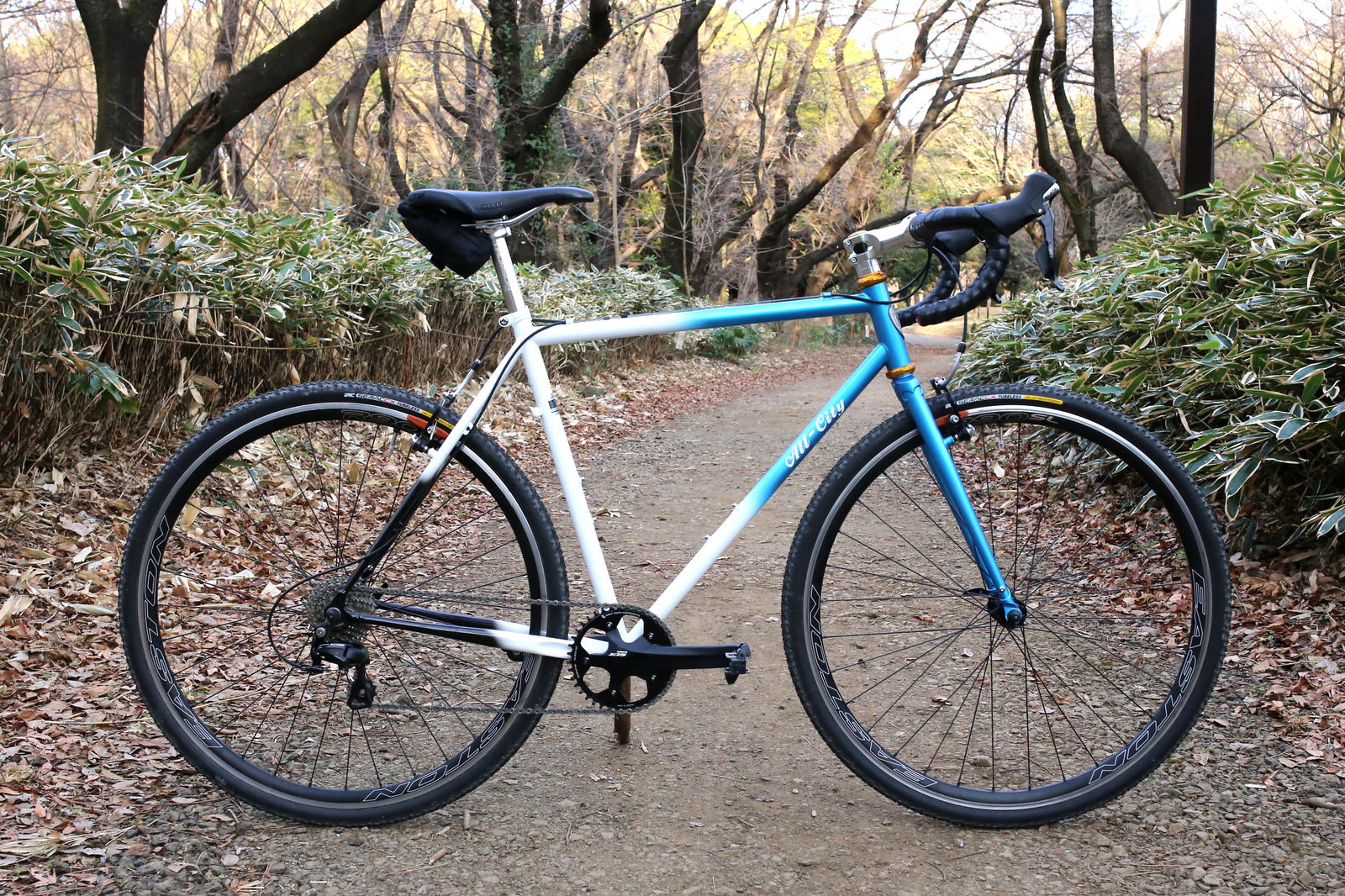 BIKECHECK!fromYOYOKO - BLUE LUG BLOG | 自転車店 ブルーラグ