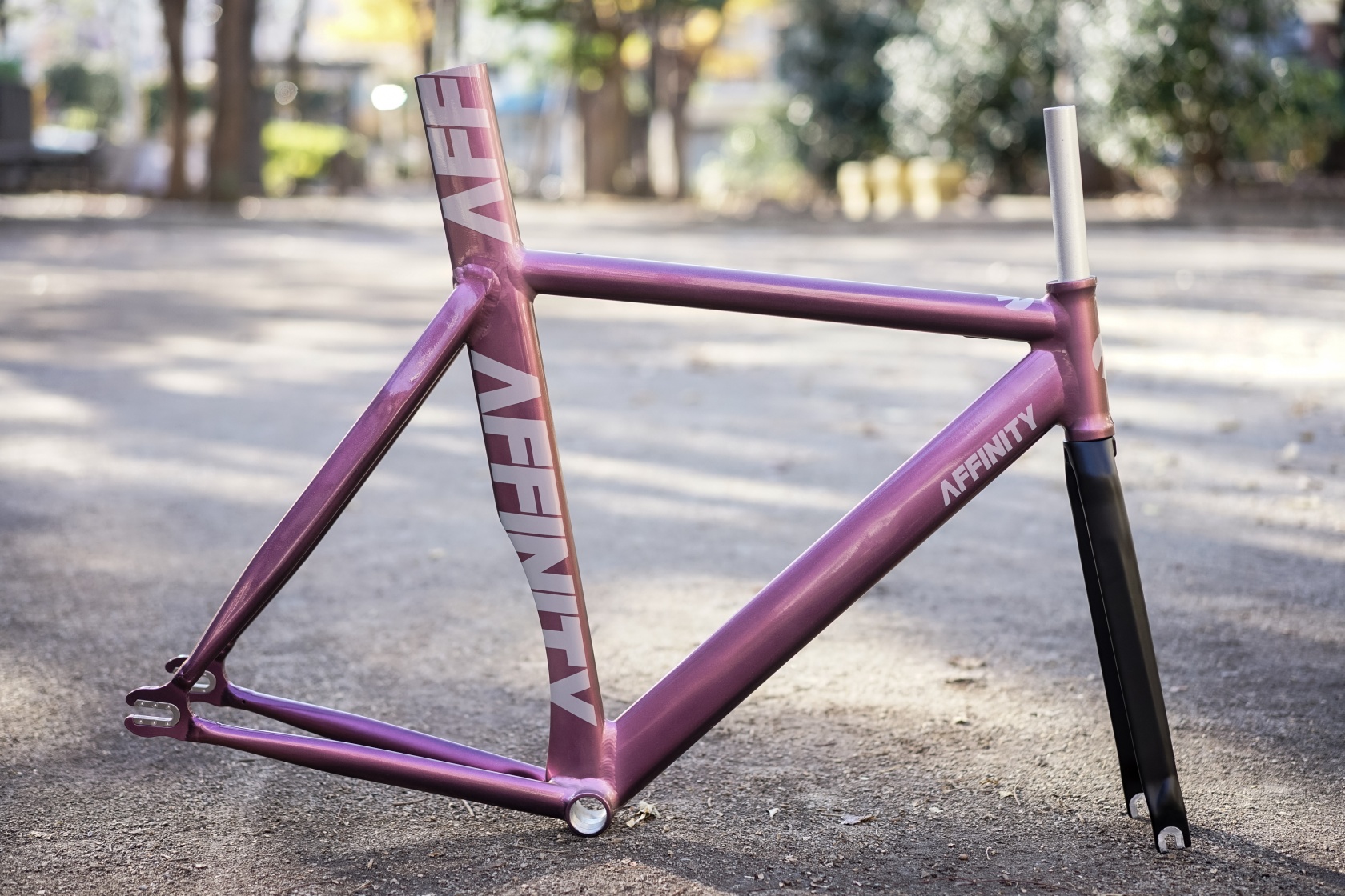 AFFINITY KISSENA 