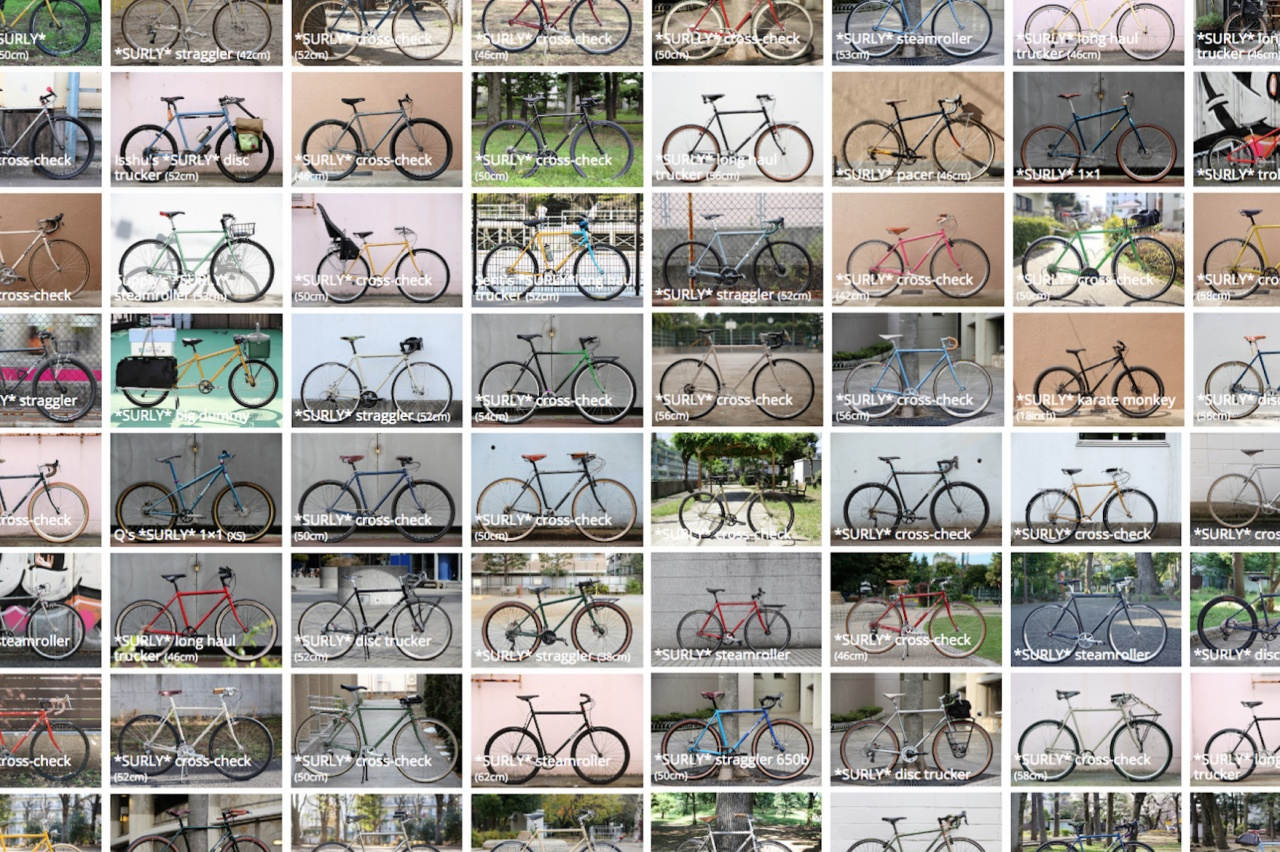 †SURLY† - BLUE LUG BLOG