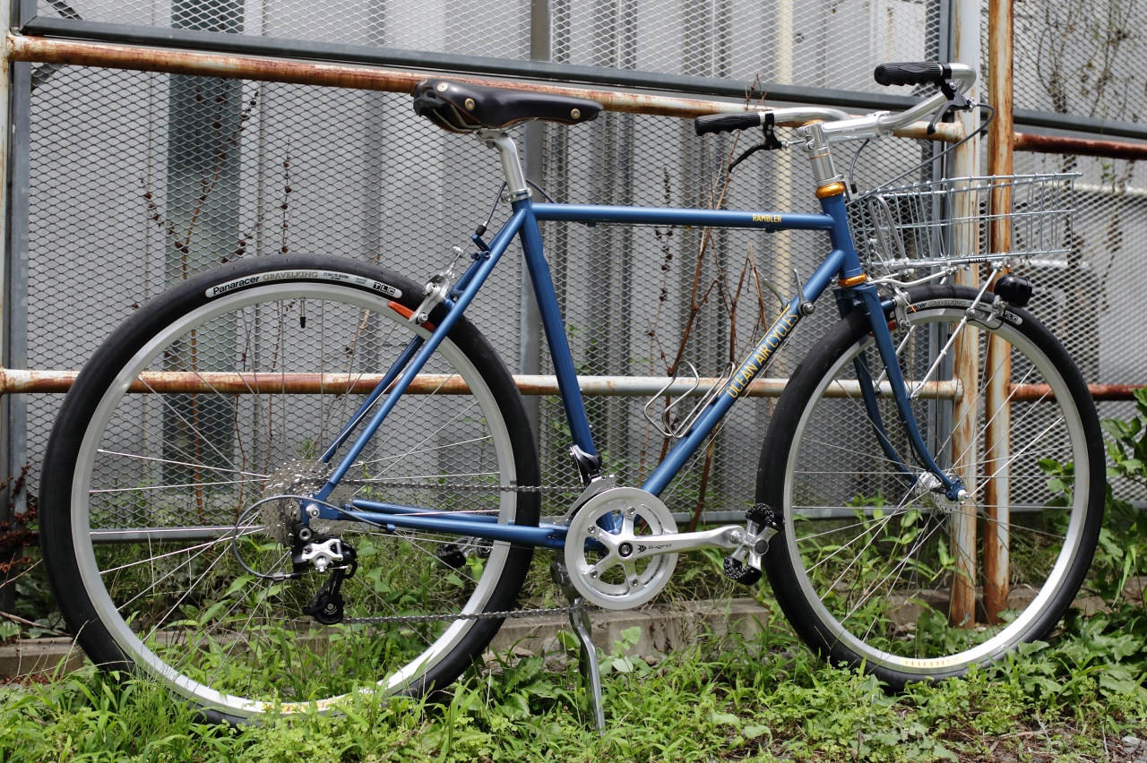 GADID ANONIEM LUKE / BLUE メンズ