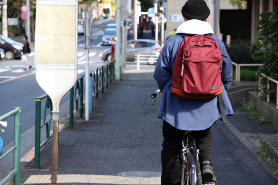 BLUE LUG THE DAY PACK (brown) デイパック - バッグ