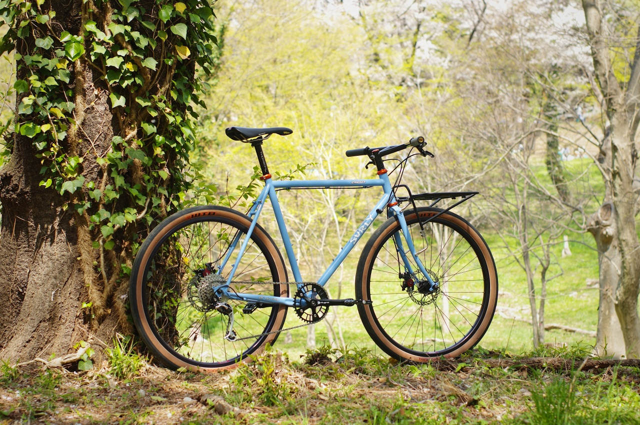 平成最後の歴史を刻み込め！バイクチェック！！！ - BLUE LUG