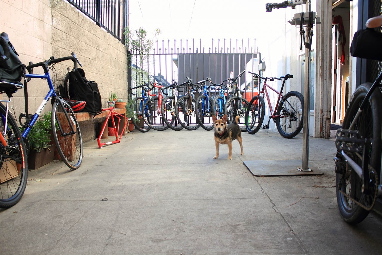 GSC - 世界の自転車屋さん,vol4 - BLUE LUG BLOG | 自転車店