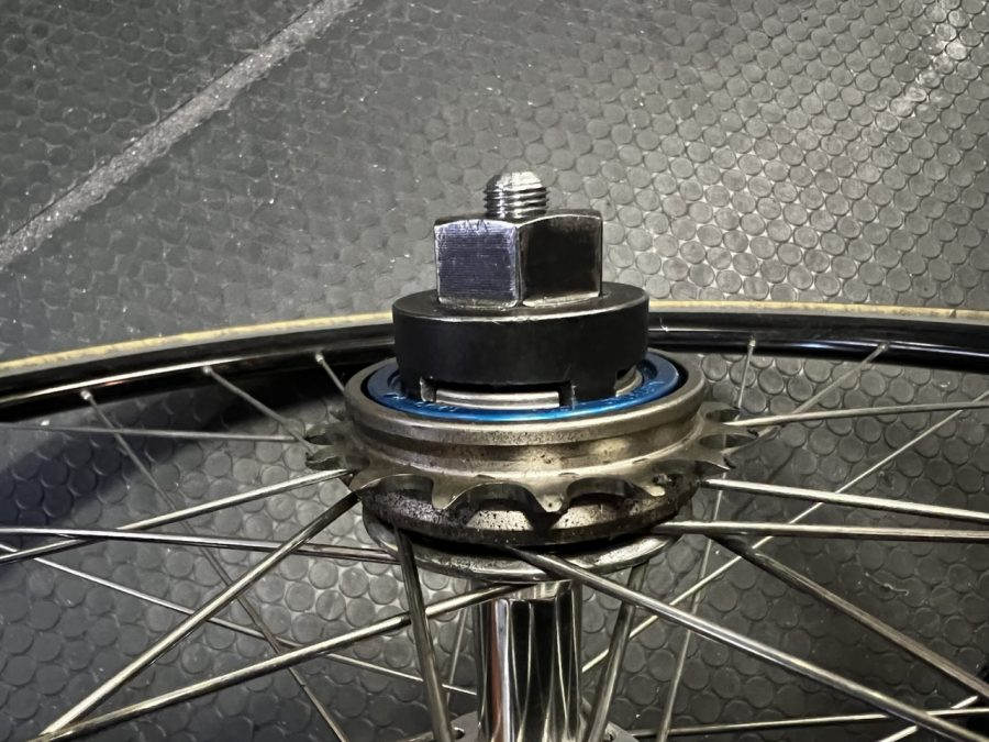 PROFILE RACING elite freewheel フリーコグ 17Tライド距離は20km程