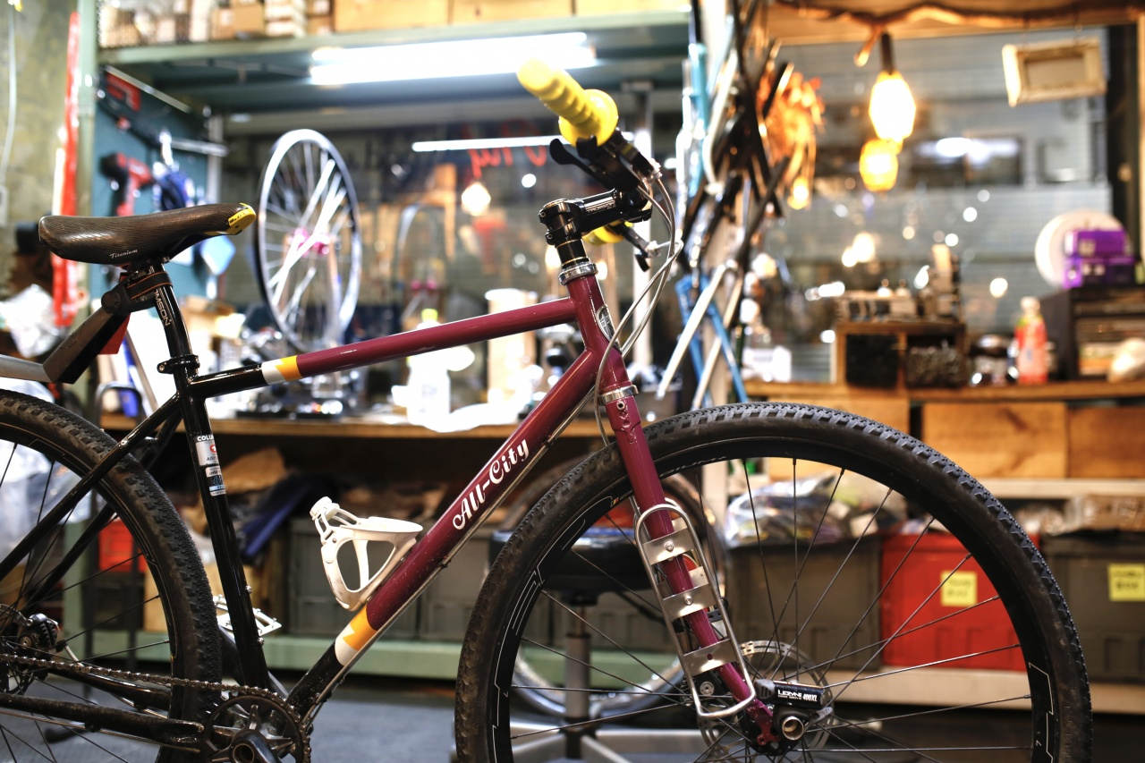 SURLY* 8-pack front rack サーリー 8パックラック黒 - 自転車