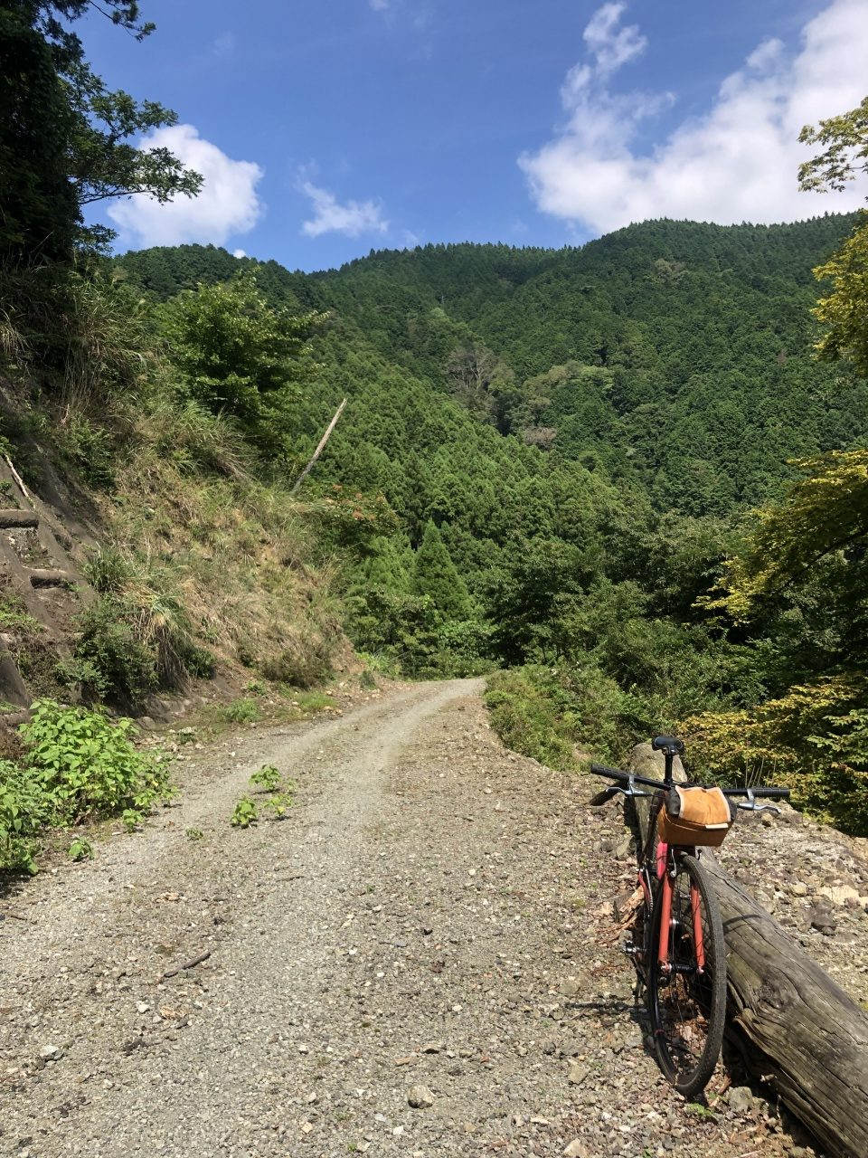 あそこまで電車で。 - BLUE LUG STAFF REVIEW | 自転車店 ブルーラグ 