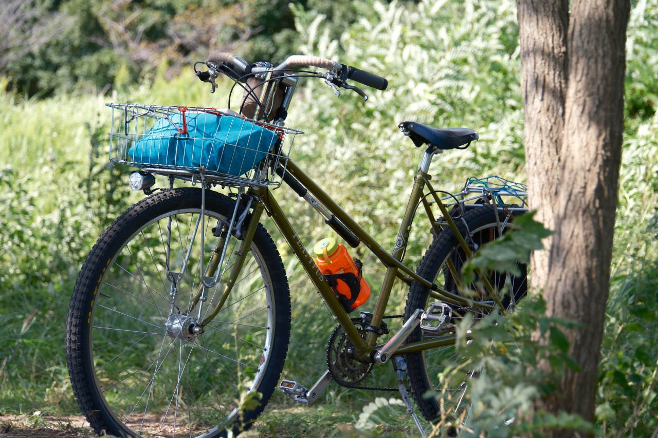 Platypusは間違いなく最も美しいバイクである - BLUE LUG BLOG