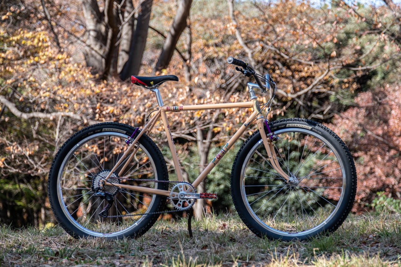 自転車本体 LINUS BIKE Roadstar bluelug old mtb Linus Roadster Classic | Retro Single-Speed Commuter Bike
