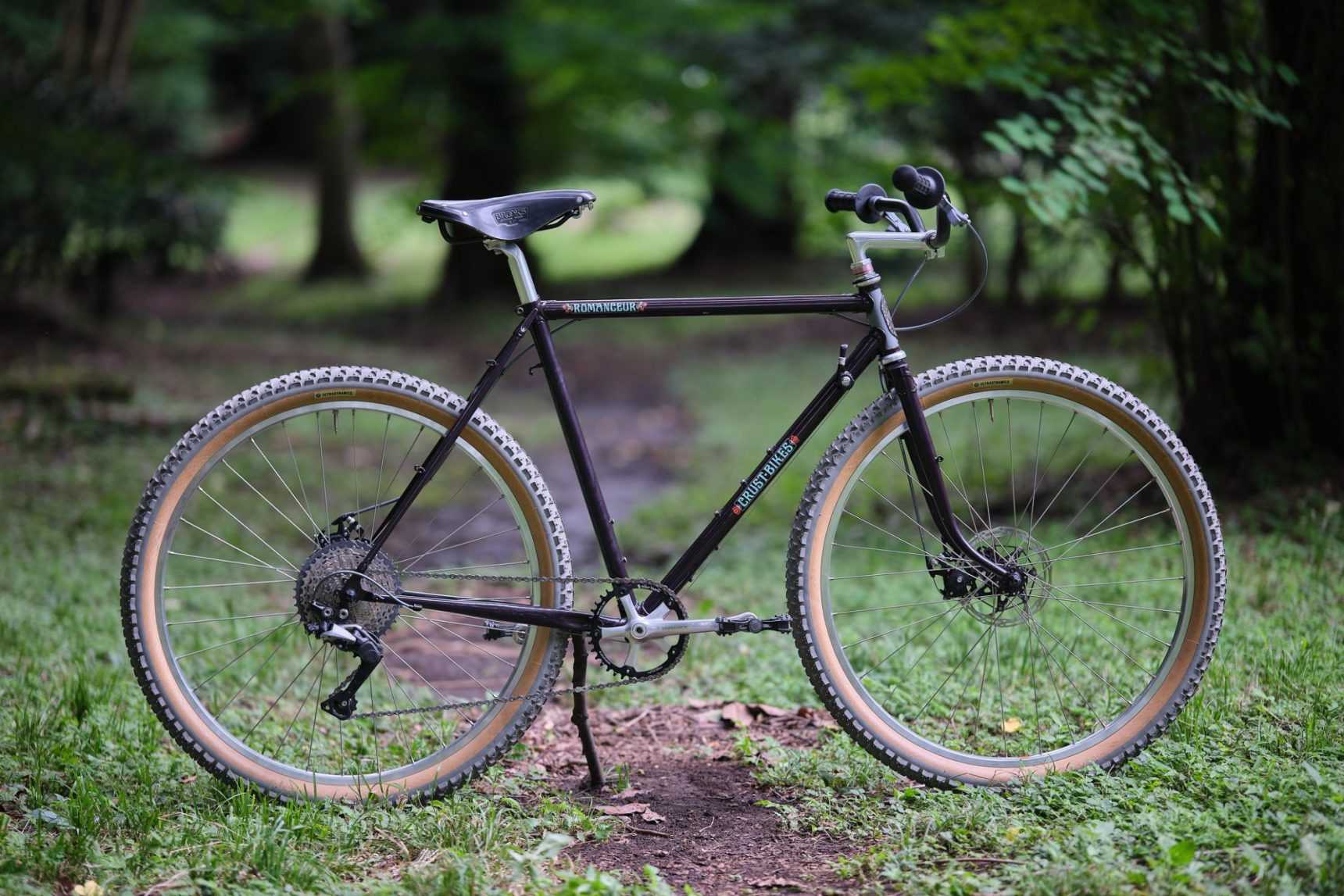 53827433768_221c9ce9dd_k-