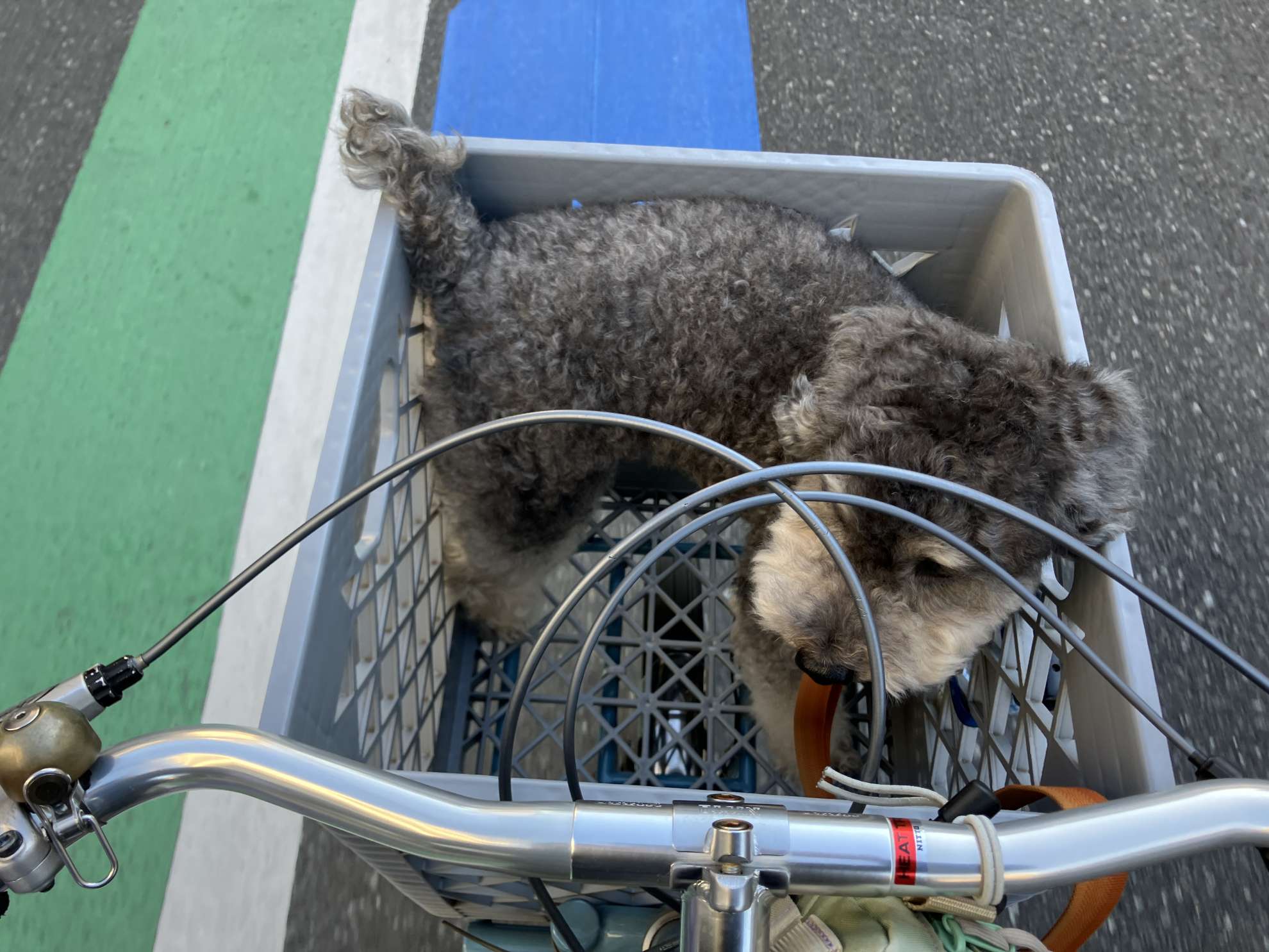 うちの愛犬号〜ハンドルカスタム編〜 - BLUE LUG STAFF REVIEW