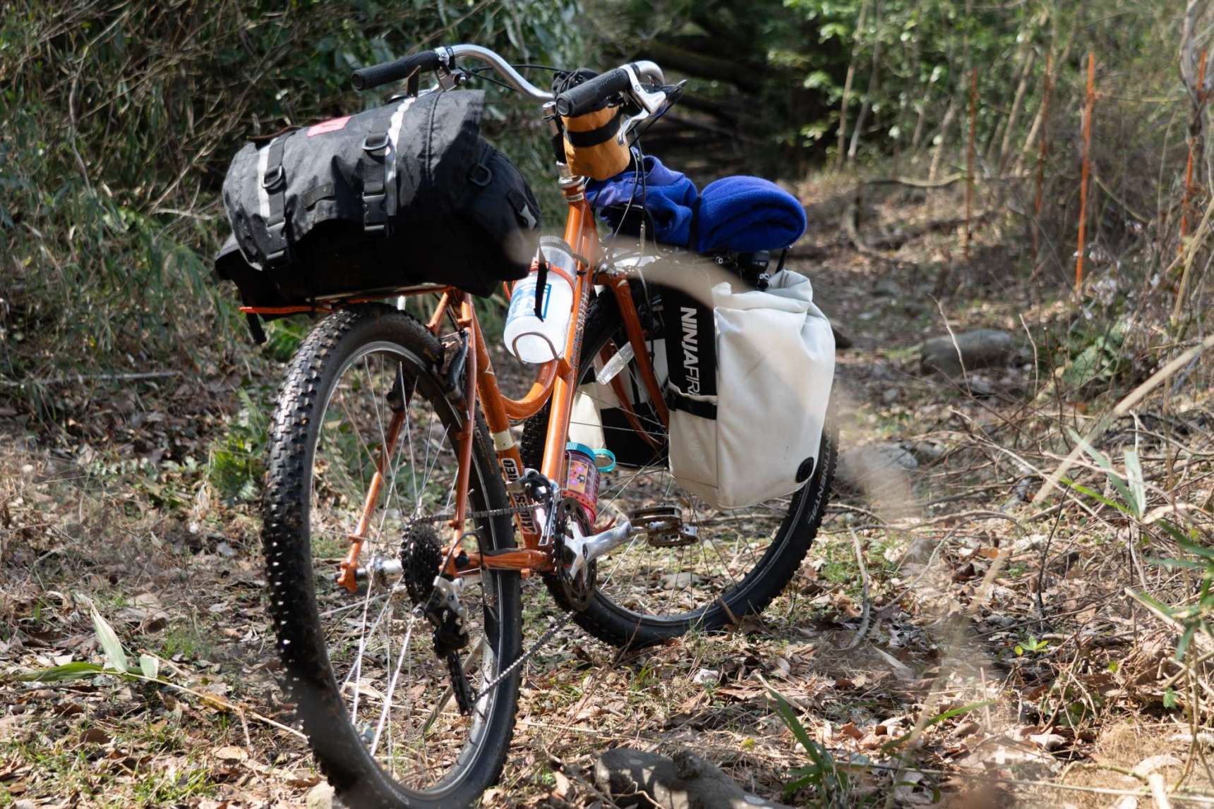 みんみ Clemでキャンプ！ミンミンとの密約。 - BLUE LUG BLOG | 自転車店