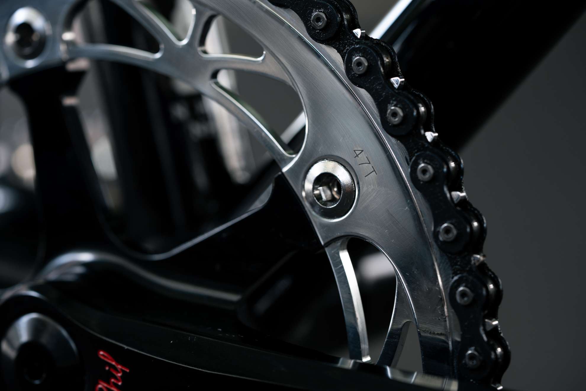 ピクルスのブルーです かえるのピクルス】にじいろピクルス（ビーンドール/さくら）135872-19