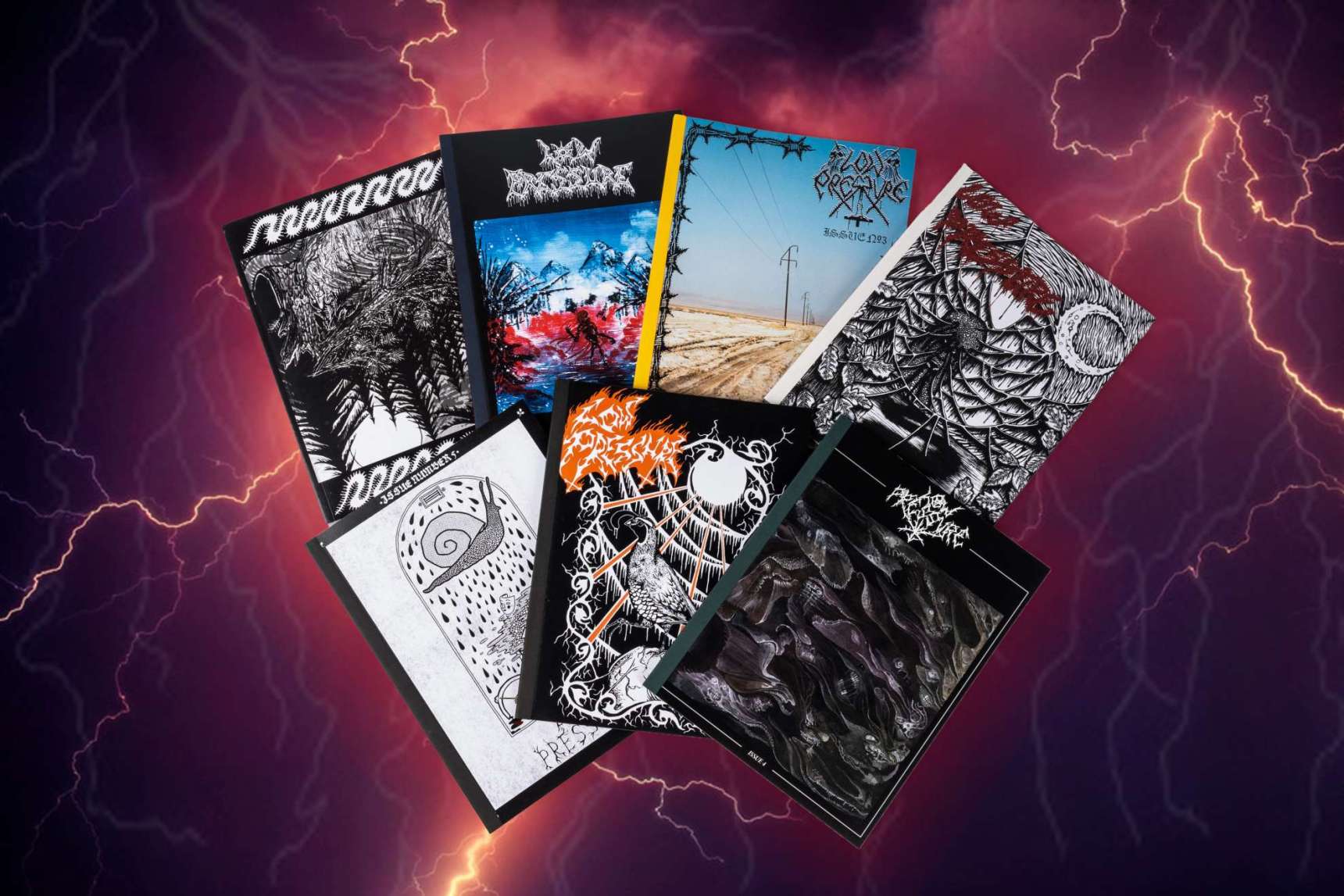 サンフランシスコすこ。 - BLUE LUG BLOG | 自転車店 ブルーラグ