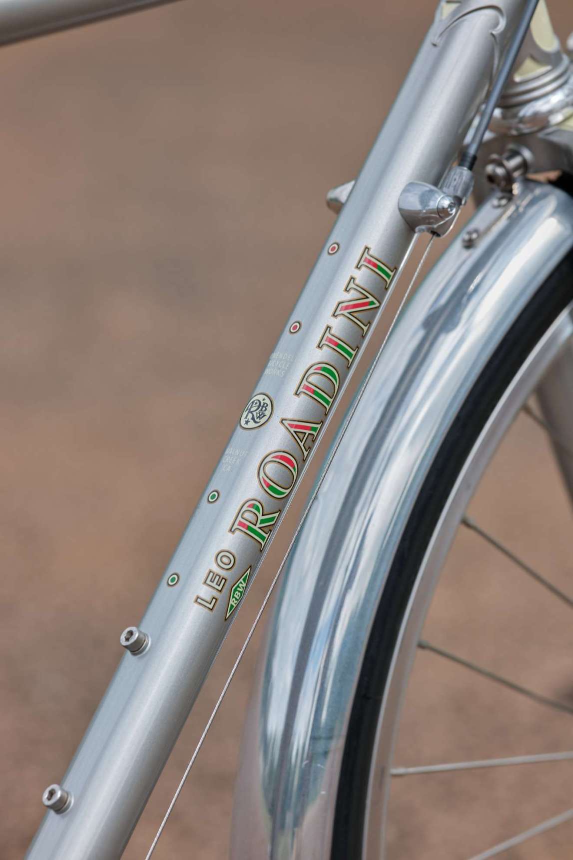 HOMERと僕の夏休み&Rivendell ROADINI BIKECHECK! - BLUE LUG