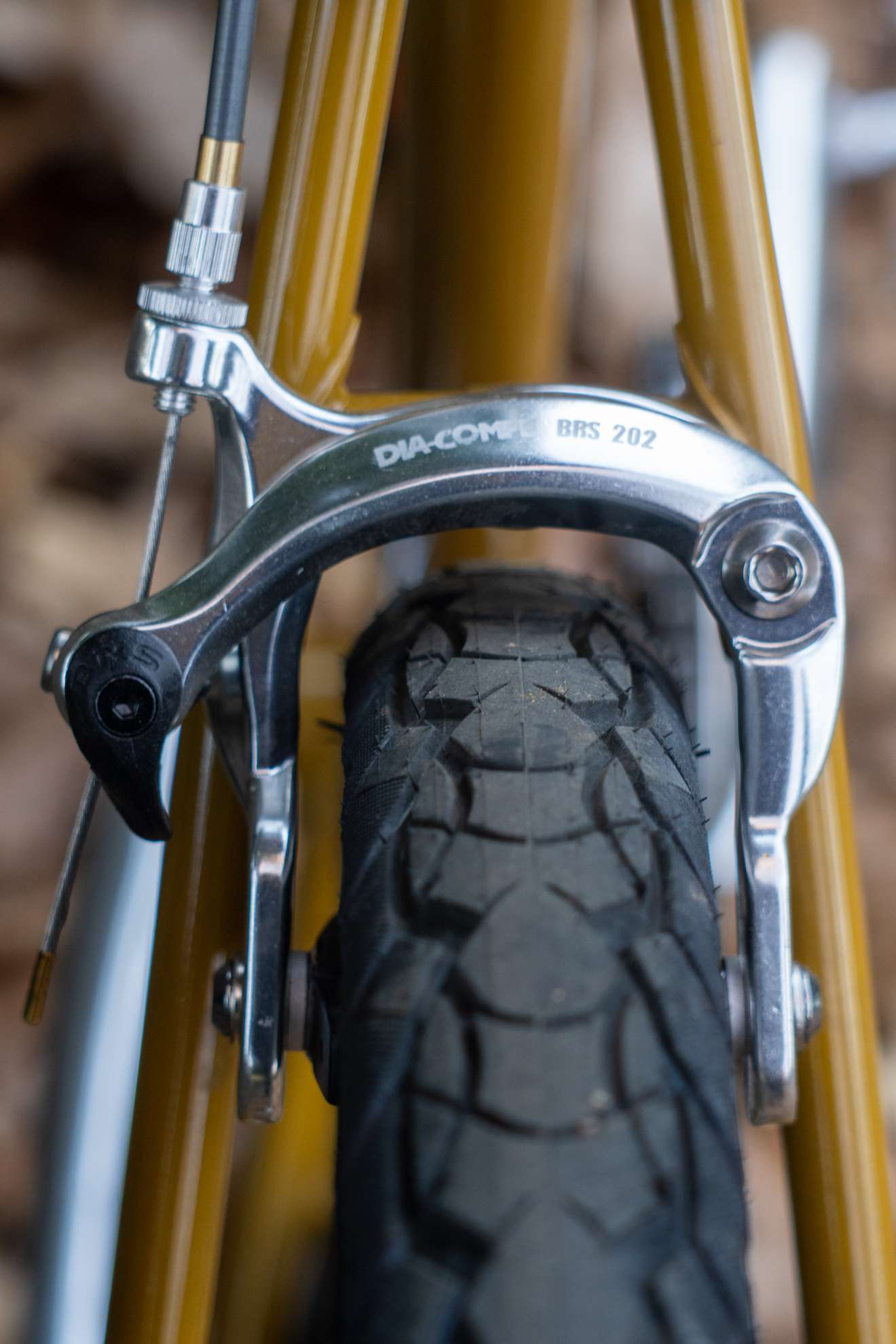 セイヤク×ト×セイヤク - BLUE LUG STAFF REVIEW | 自転車店 ブルーラグ