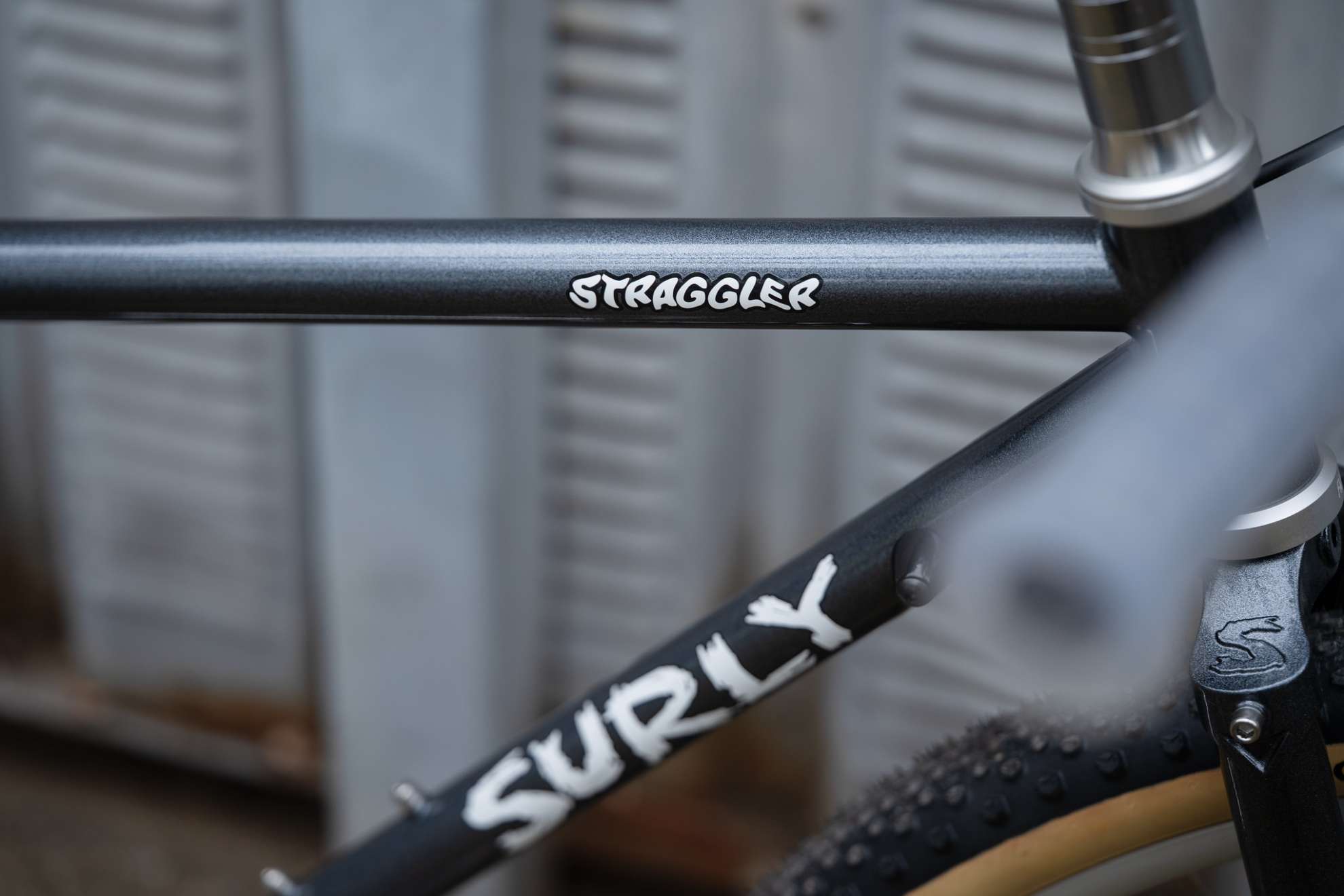SURLYヒトゲノム、straggler