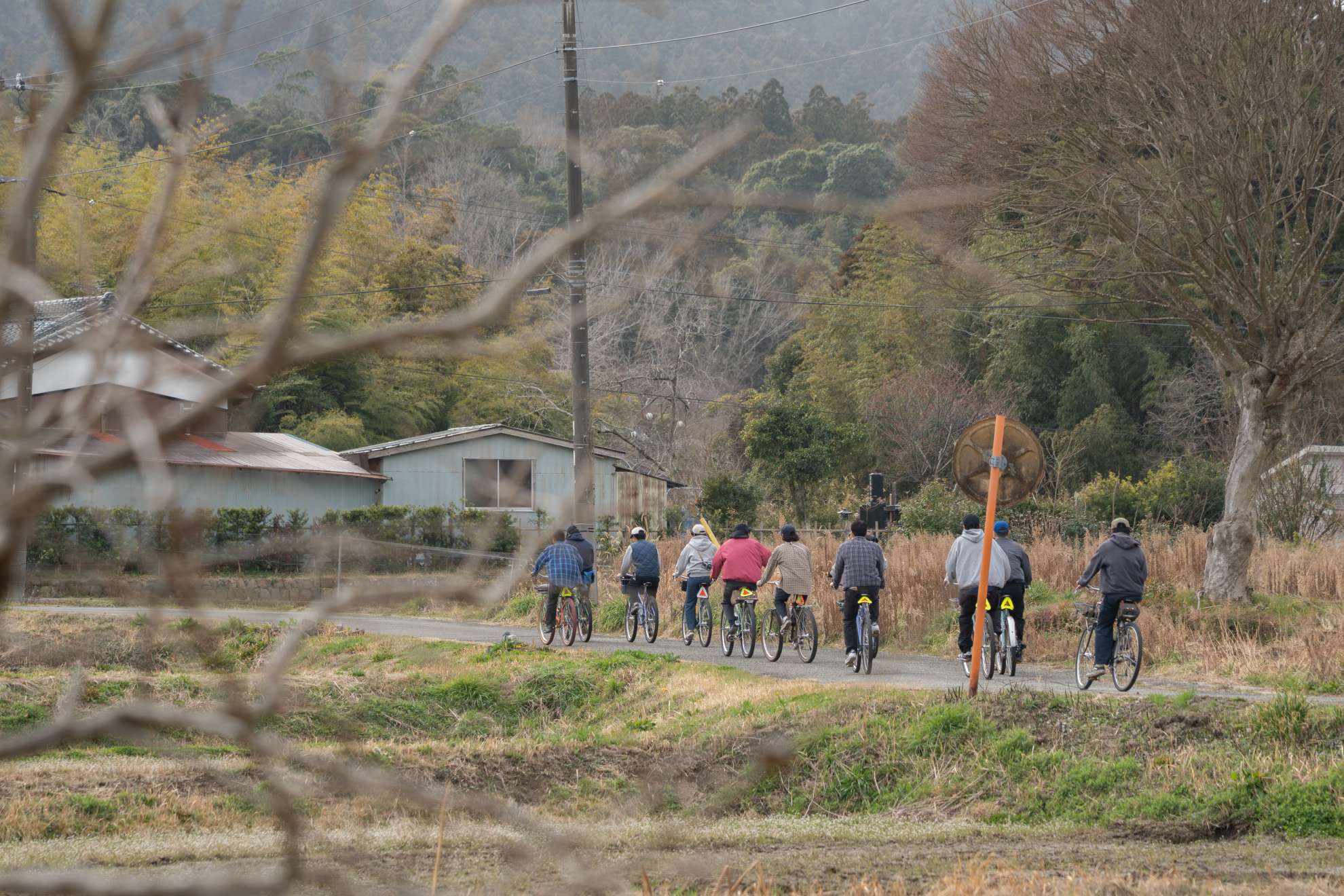 3月、最近のオンラインストア - BLUE LUG BLOG | 自転車店 ブルーラグ