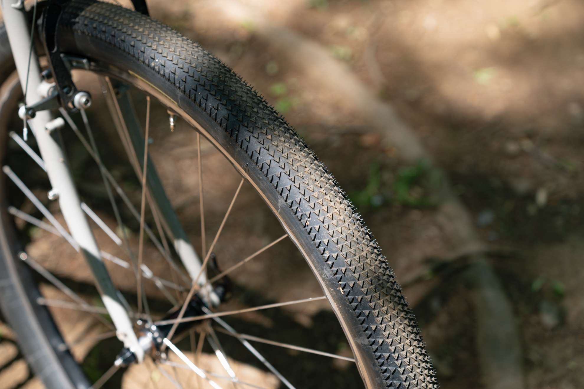Ride Report & New Tires! - BIKE SHOP BLUE LUG BLOG | 自転車店
