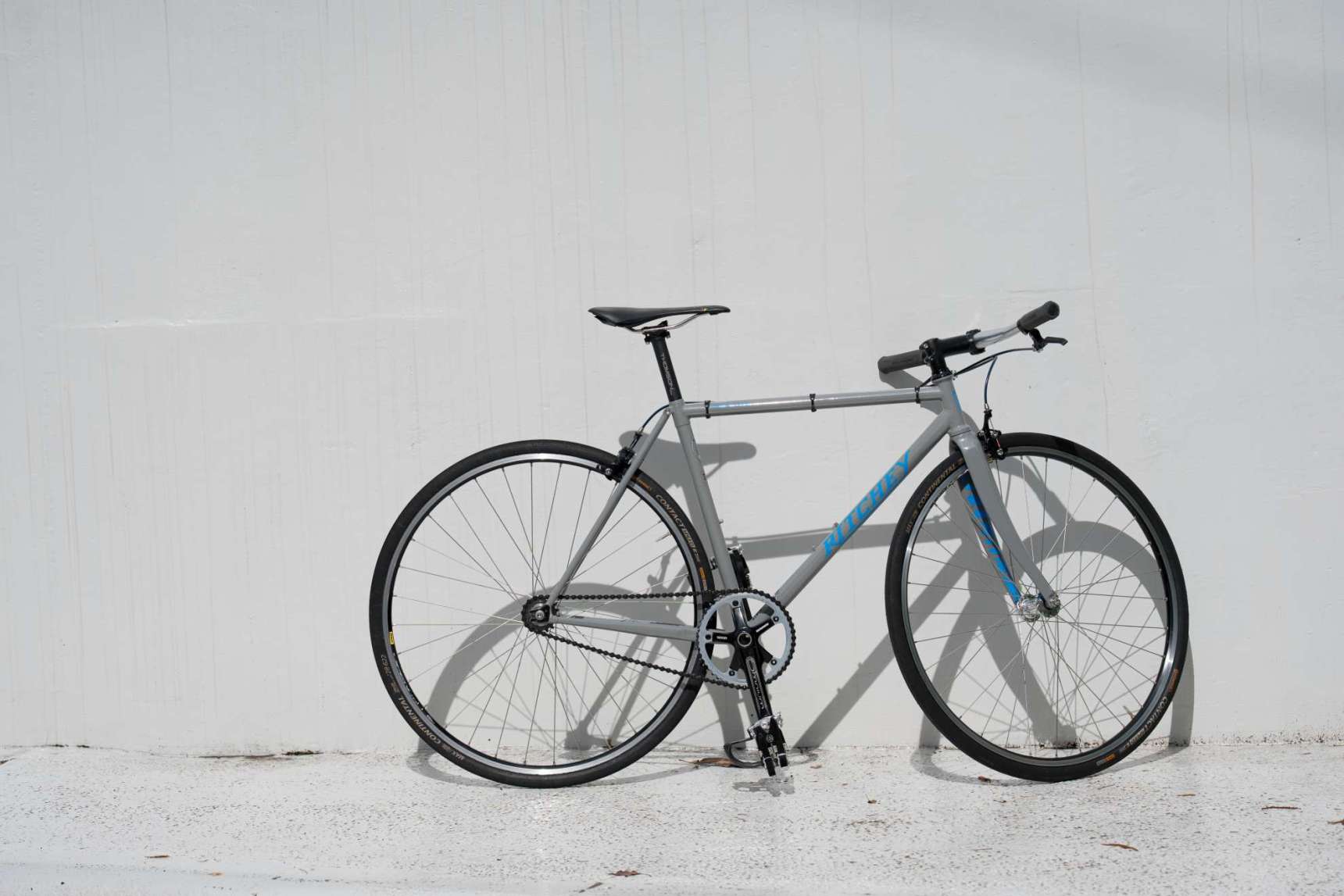 Tara's Ritchey Garden city×BlueLug 20th limited - BLUE LUG BLOG