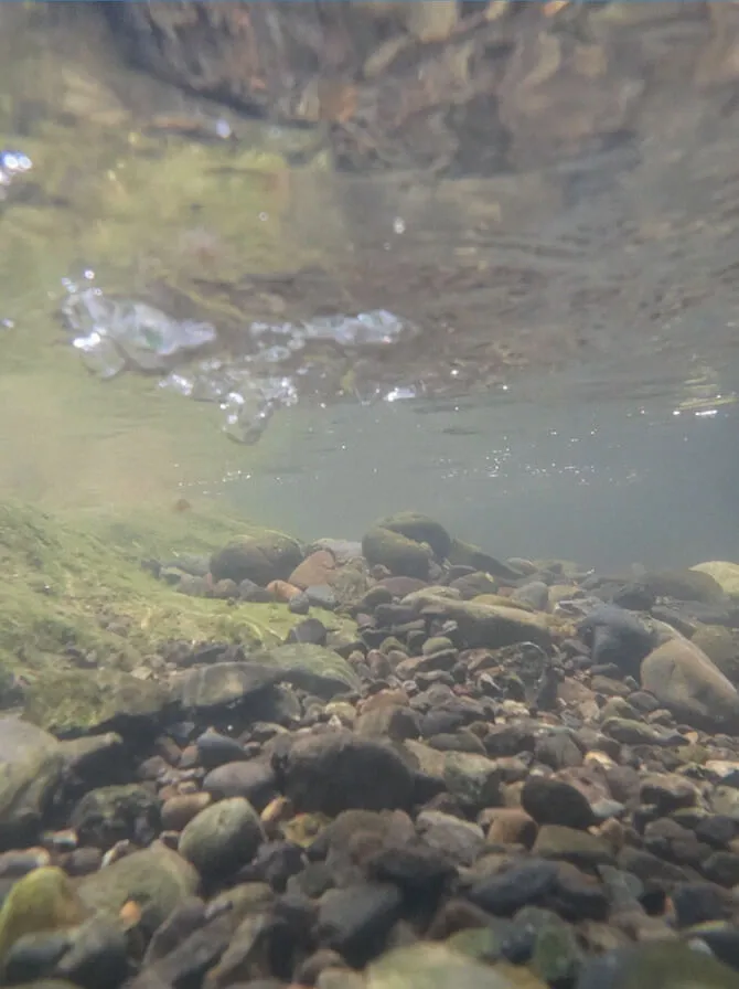 CHACO Z1 CLASSIC for BLUE LUG