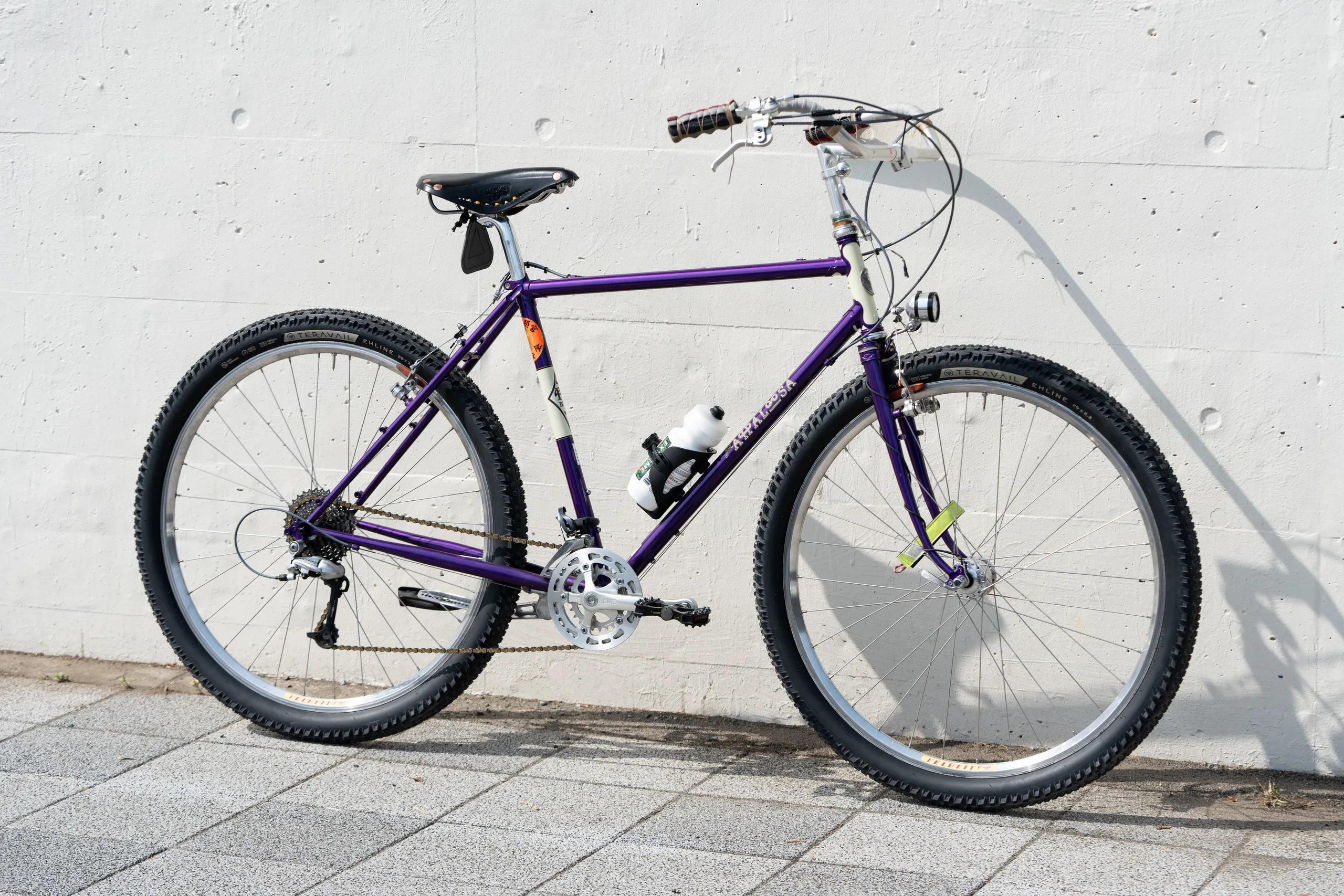 RIVENDELL BICYCLE WORKS Joe Appaloosa - BLUE LUG