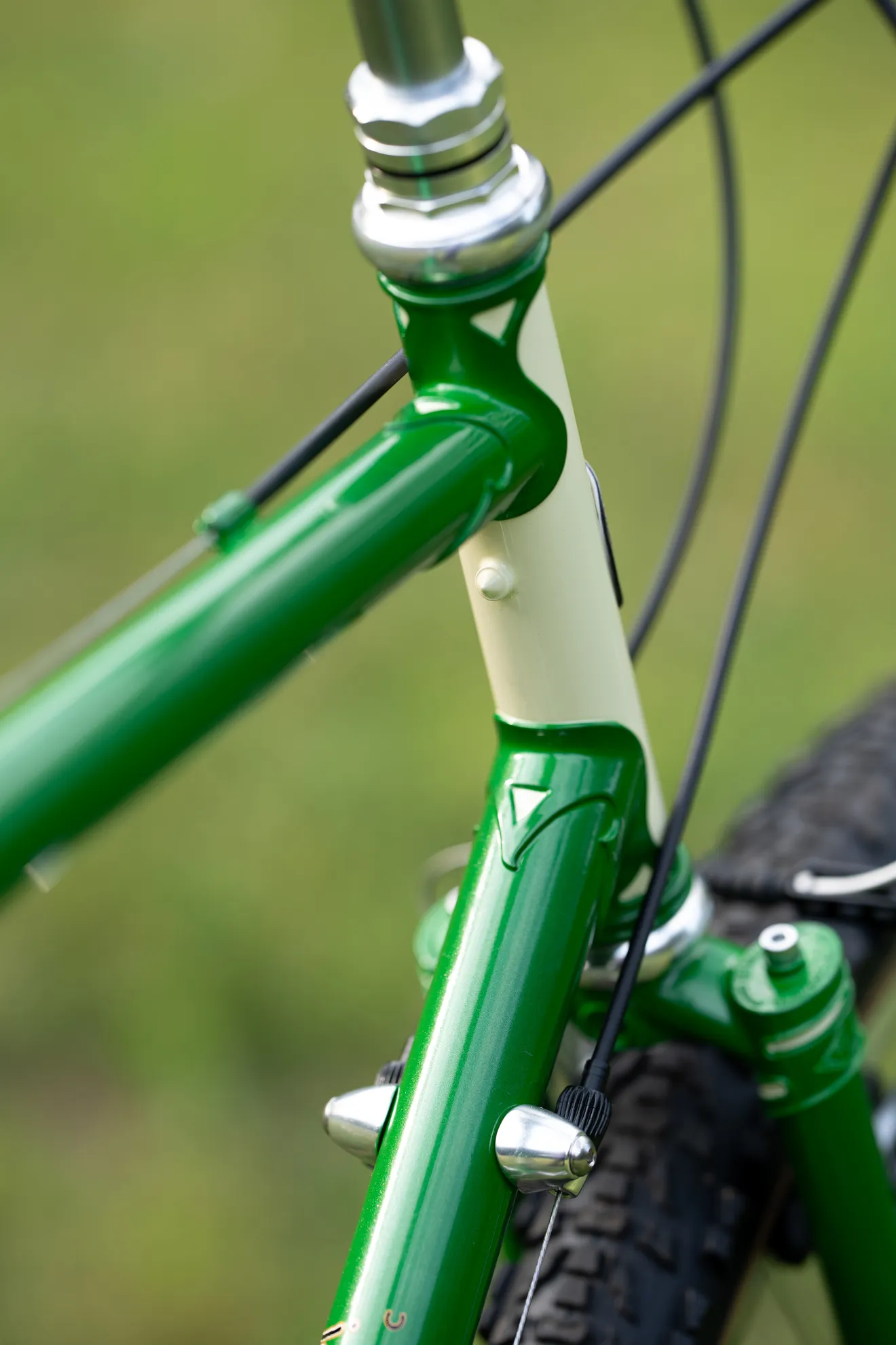RIVENDELL BICYCLE WORKS Joe Appaloosa - BLUE LUG