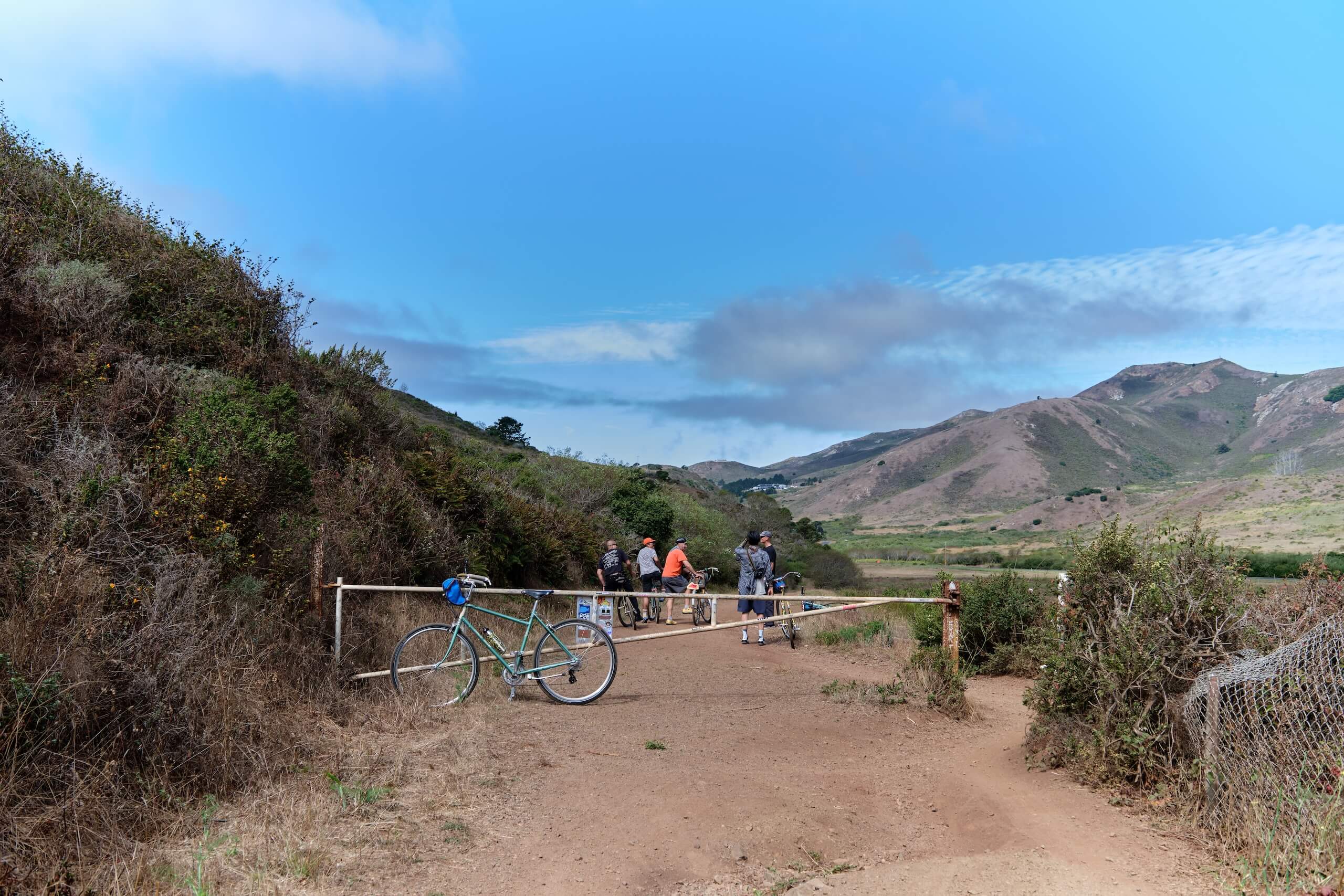 RIVENDELL BICYCLE WORKS - BLUE LUG