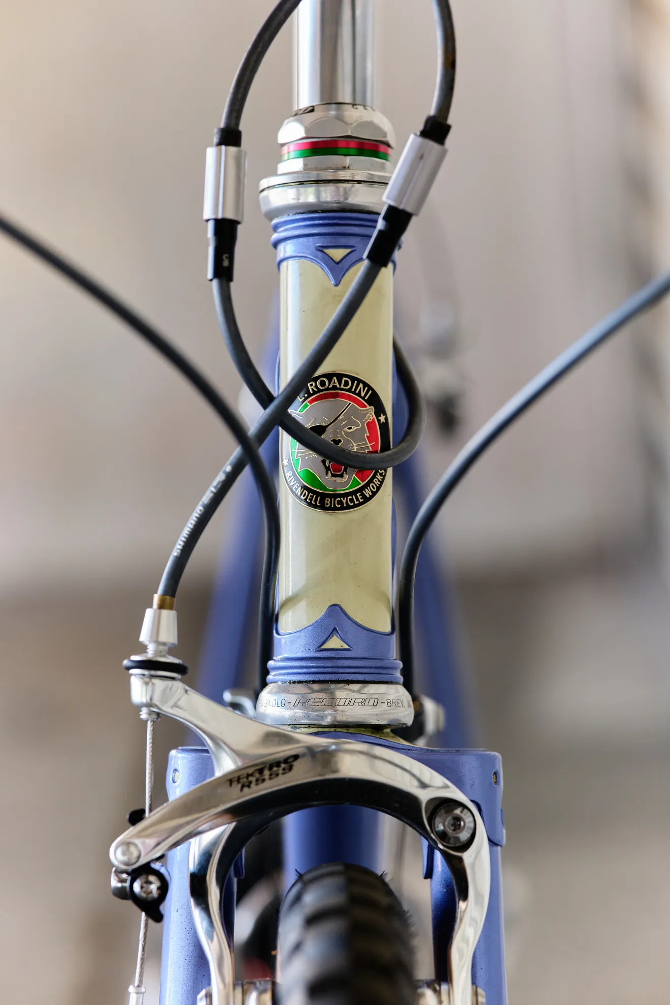 RIVENDELL BICYCLE WORKS Roadini - BLUE LUG