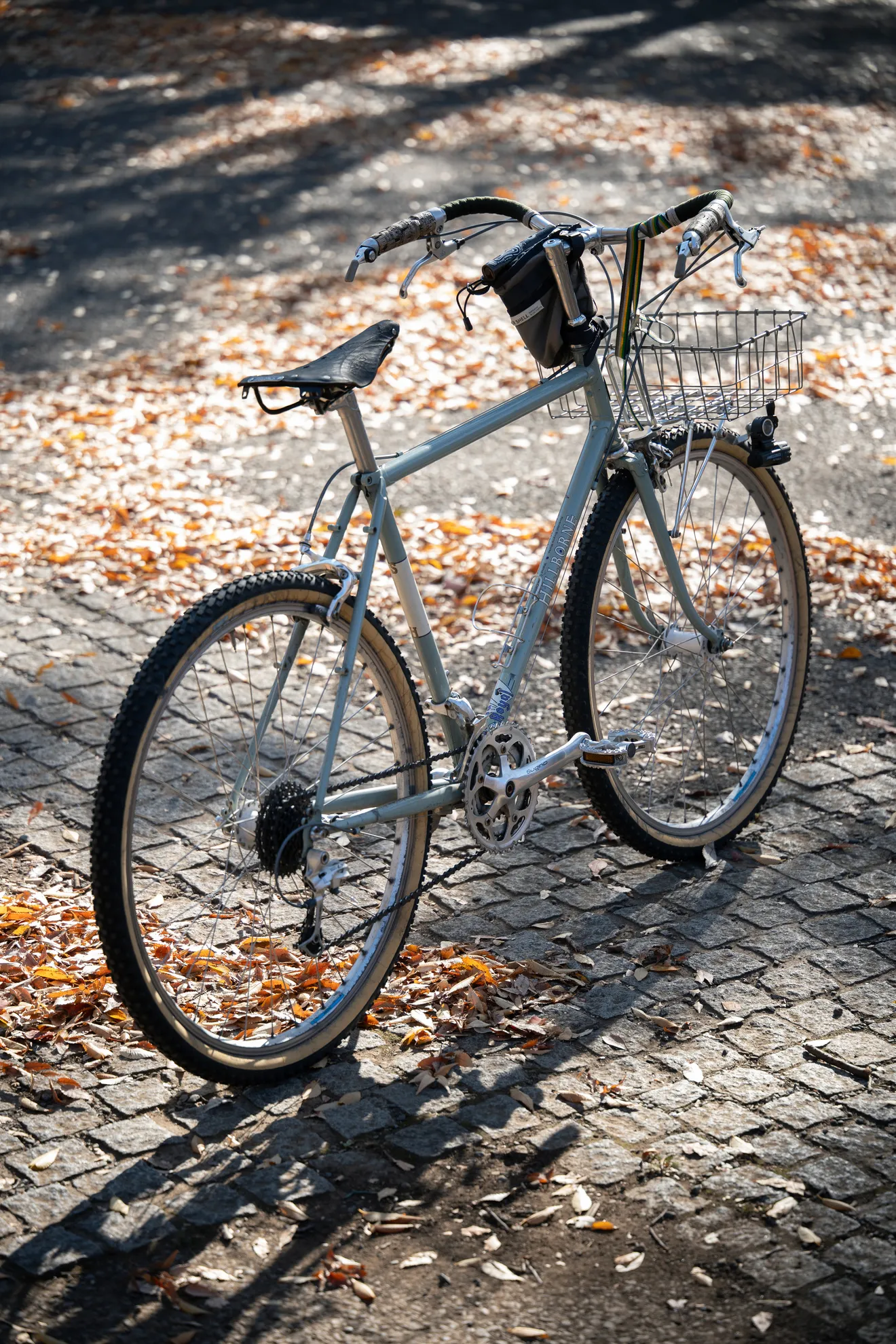 RIVENDELL BICYCLE WORKS Sam Hillborne - BLUE LUG