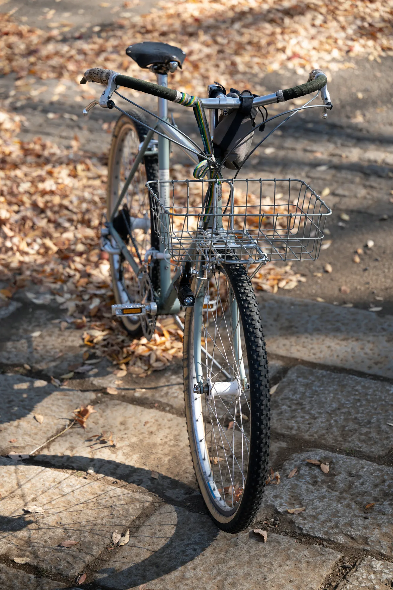 RIVENDELL BICYCLE WORKS Sam Hillborne - BLUE LUG