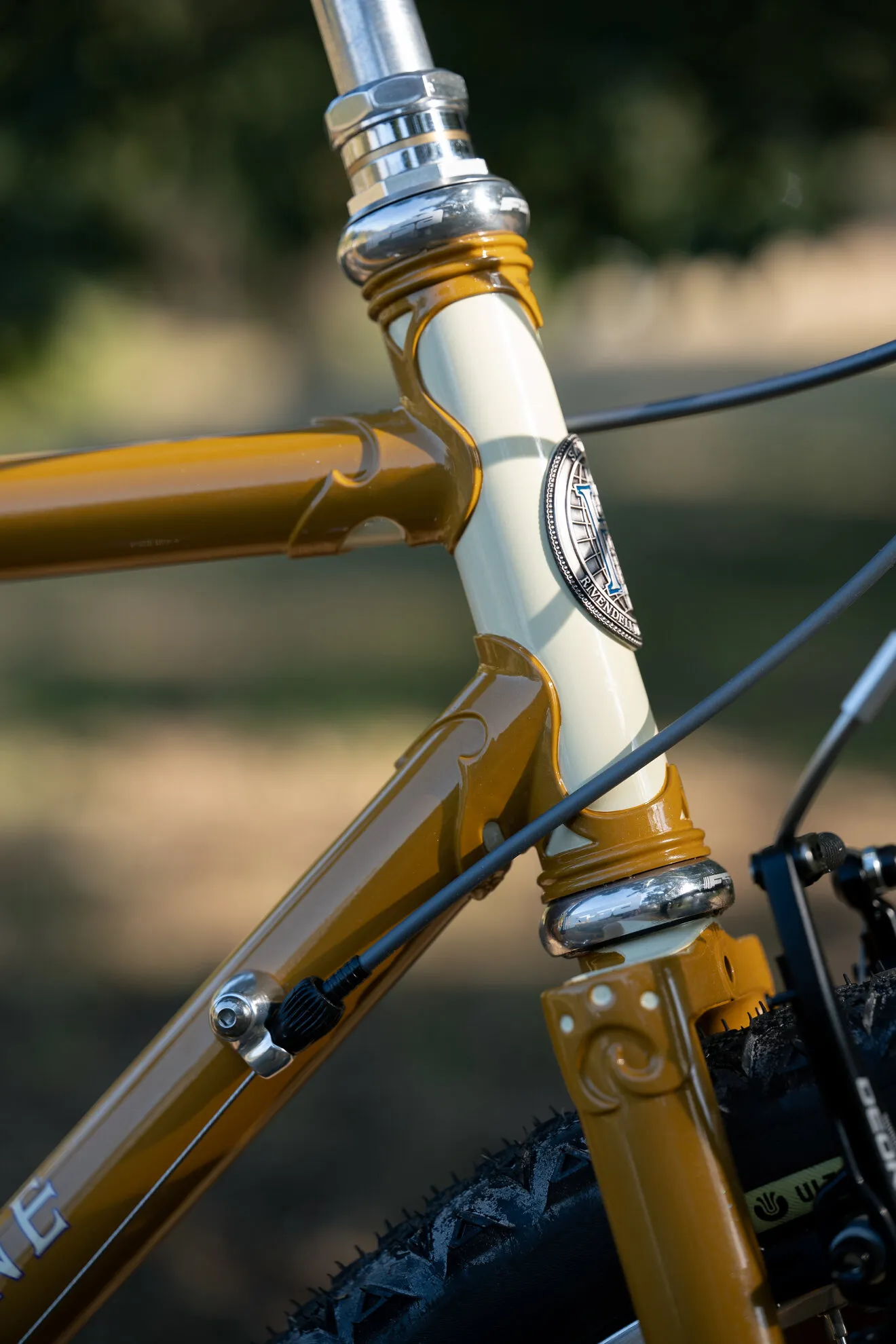 RIVENDELL BICYCLE WORKS Sam Hillborne - BLUE LUG