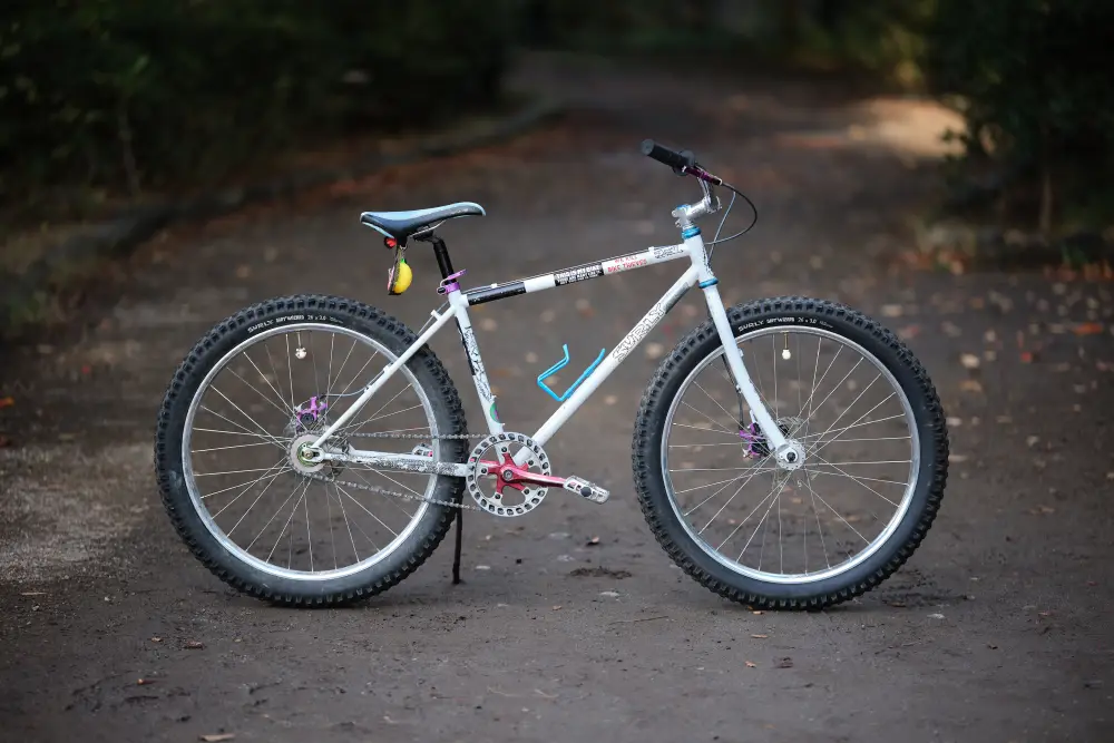 SURLY 1x1