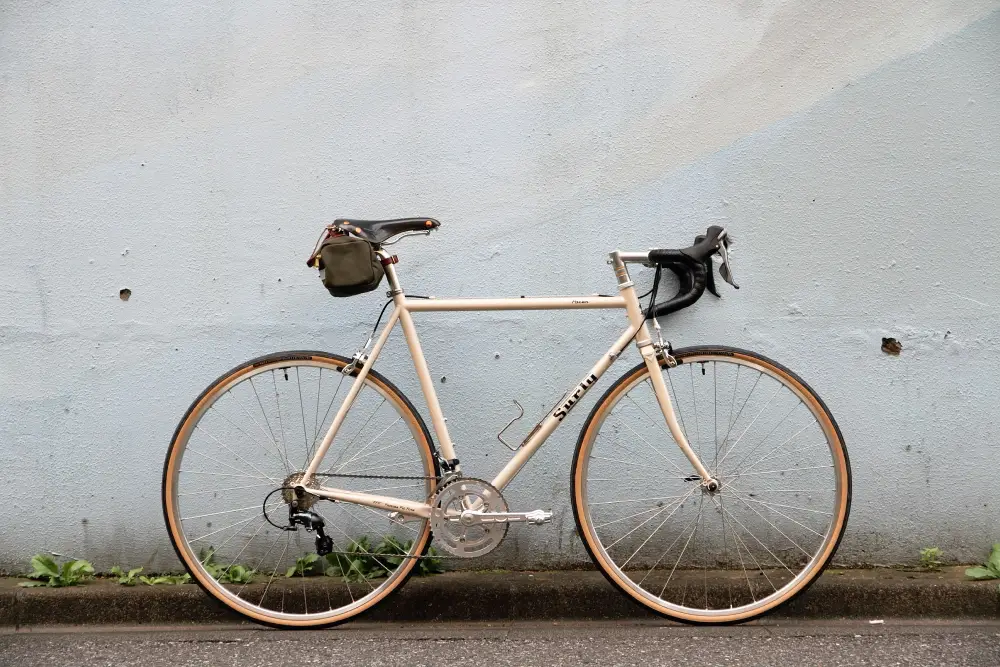 SURLY pacer