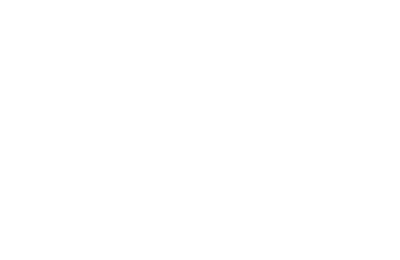THE DAY PACK