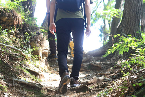 SWRVE AUTUMN FOR HIKE