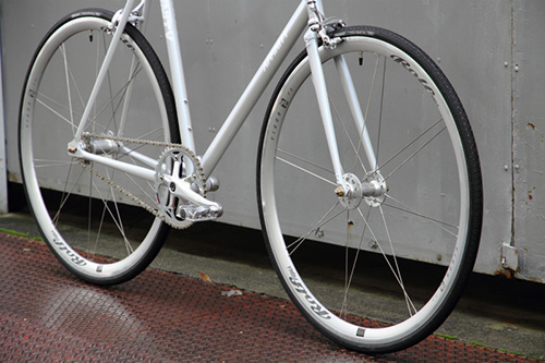 10th ANNIV!! ROLF PRIMA “Vigor FX” SP edition!!