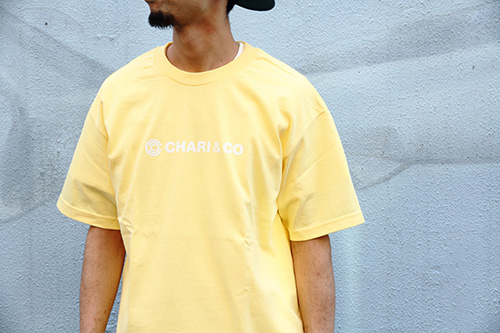 CHARI & CO NYC
