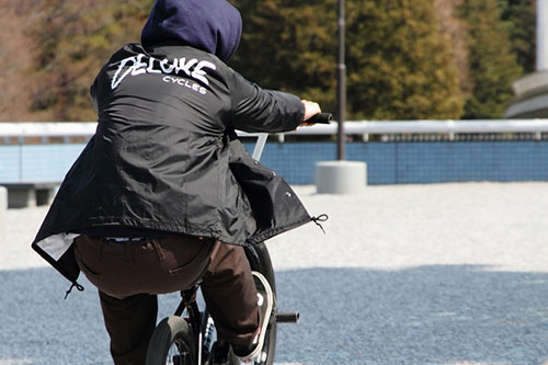 DELUXE CYCLES